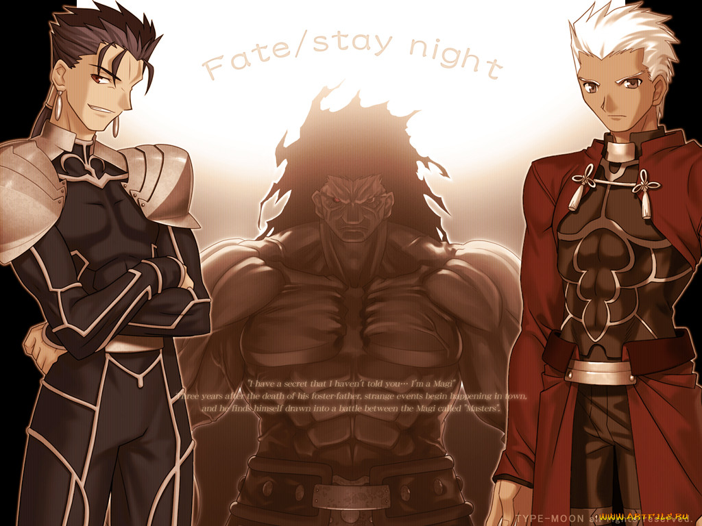 , fate, stay, night